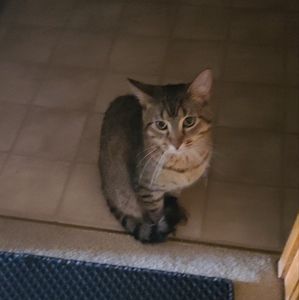 Meet your Posher, Lorie